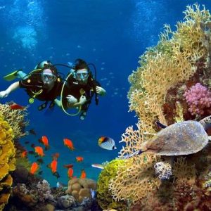 scuba-diving-egypt.jpg